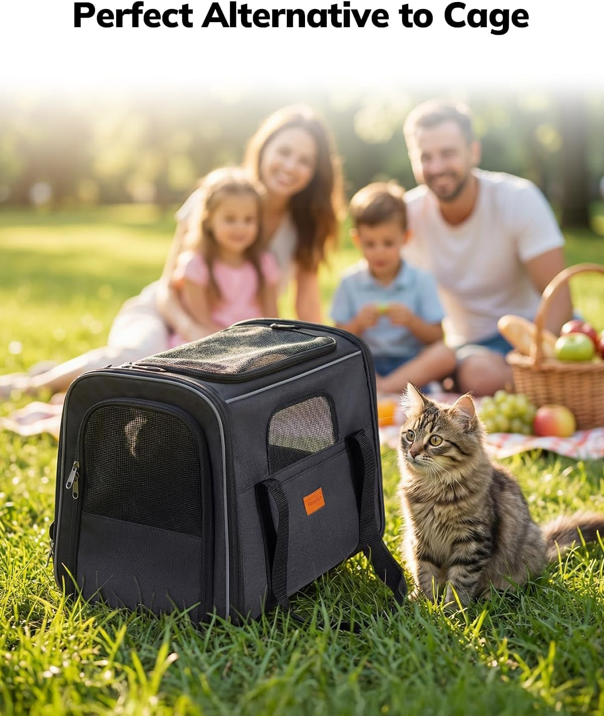 Cat Carrier - Cat Carrier Soft for Medium or Large Cats up to 20Lbs, with Dual-Sided Cushion, Secure Buckle and Foldable Bowl, Dog Carriers for Small Dogs - Pet Carrier (Dark Gray)